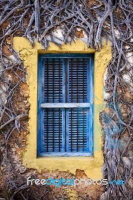 Zanzibar Prison Island And A Old Window Closed Stock Photo