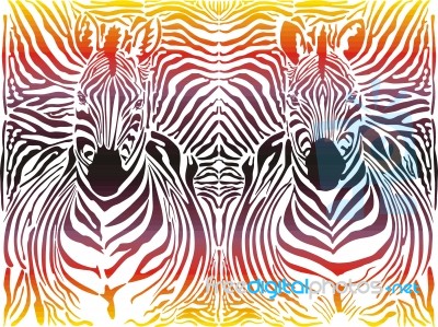 Zebra Abstract Pattern Background Stock Image