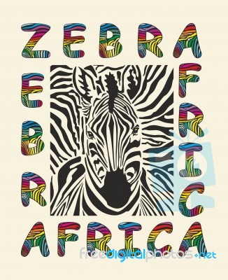 Zebra - Africa Background Stock Image