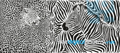 Zebra And Leopard Skin Pattern With Heads Stock Image