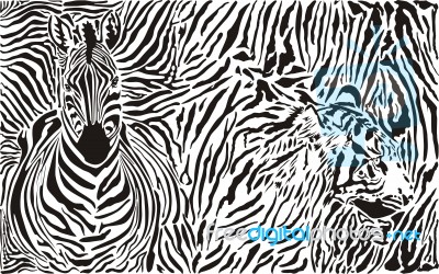 Zebra And Tiger Pattern Stock Image