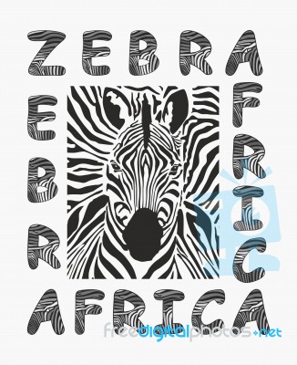 Zebra - Black And White Africa Background Stock Image