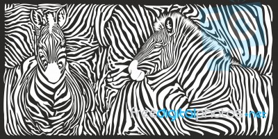 Zebra Skin Pattern Stock Image