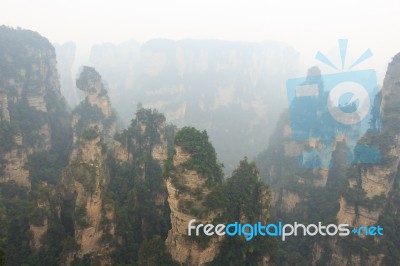 Zhangjiajie National Park ( Tian Zhi Shan ) ( Tianzi Mountain Nature Reserve ) And Fog Stock Photo