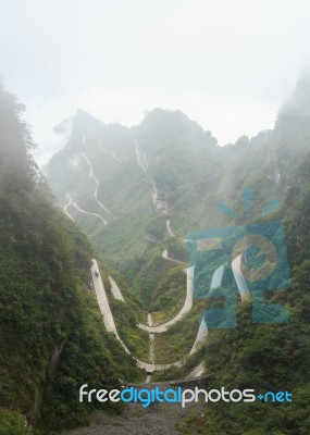 Zhangjiajie National Park ( Tian Zhi Shan ) ( Tianzi Mountain Nature Reserve ) And Fog , China Stock Photo