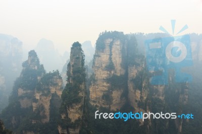 Zhangjiajie National Park ( Tian Zhi Shan ) ( Tianzi Mountain Nature Reserve ) And Fog , China Stock Photo