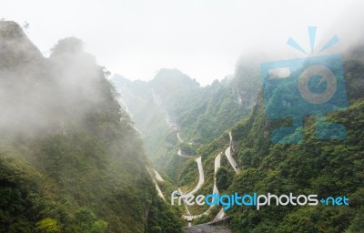 Zhangjiajie National Park ( Tian Zhi Shan ) ( Tianzi Mountain Nature Reserve ) And Fog , China Stock Photo