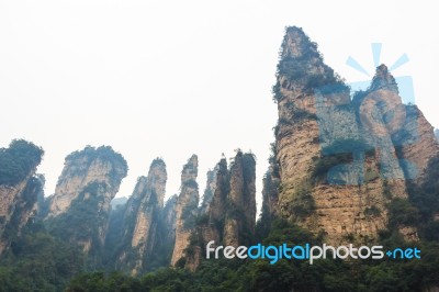 Zhangjiajie National Park ( Tian Zhi Shan ) ( Tianzi Mountain Nature Reserve ) And Fog , China Stock Photo