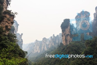 Zhangjiajie National Park ( Tian Zhi Shan ) ( Tianzi Mountain Nature Reserve ) And Fog , China Stock Photo