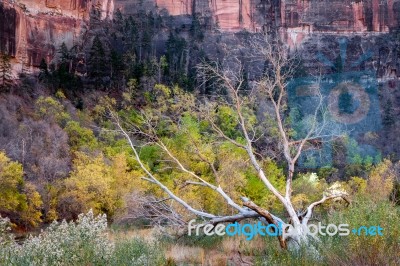 Zion National Park Utah Stock Photo