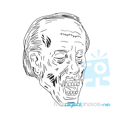 Zombie Head Eyes Closed Drawing Stock Image