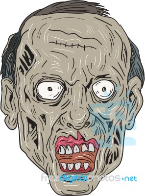 Zombie Head Front Drawing Stock Image