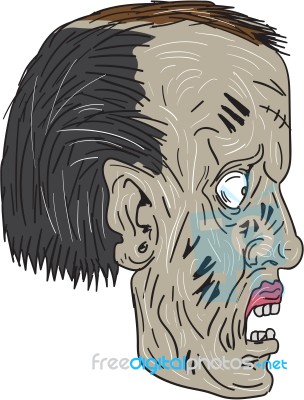 Zombie Head Side Drawing Stock Image