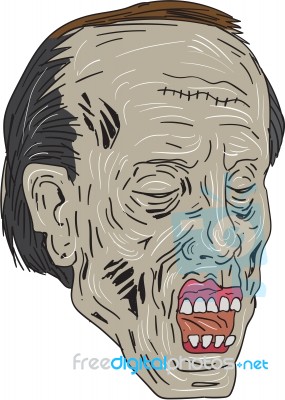 Zombie Head Three Quarter View Drawing Stock Image