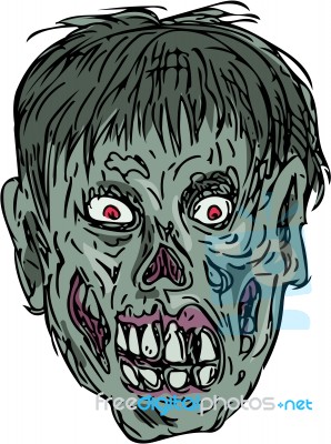 Zombie Skull Head Drawing Stock Image