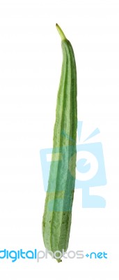 Zucchini Isolated On The White Background Stock Photo