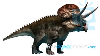 Zuniceratops Stock Image