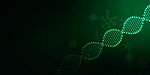 2d Render Of Dna Structure, Abstract Background Stock Photo