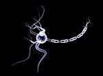 3d Neuron Cell Stock Photo