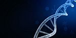 3d Render Of Dna Structure, Abstract Background Stock Photo