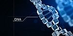 3d Render Of Dna Structure, Abstract Background Stock Photo