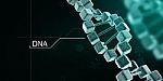 3d Render Of Dna Structure, Abstract Background Stock Photo