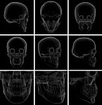 3d Render Skull On  Background Stock Photo