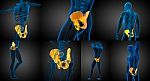 3d Rendering Medical Illustration Of The Pelvis Bone Stock Photo