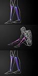 3d Rendering Medical Illustration Of The Tibia Bone Stock Photo