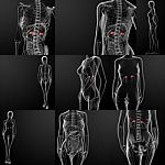 3d Rendering Of Adrenal Stock Photo