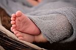 A Baby's Feet Stock Photo