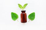 A Bottle Of Melissa Lemon Balm Essential Oil Stock Photo