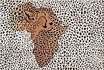 Abstract Background Of The African Cheetah Stock Photo