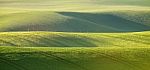 Abstract Pattern Texture Of Rolling Wavy Fields In Spring. Sprin Stock Photo