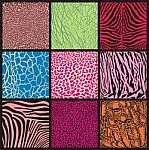 Abstract Set Of Camouflage African Animals Stock Photo