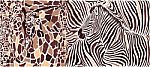 Abstract Texture Of Giraffe And Zebra Stock Photo