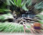 Abstract Zoom Blur Motion In Home Garden Stock Photo