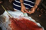 Achiote Pods For Hair Style Of Indian Man Los Tsachila Tribe, Ec Stock Photo