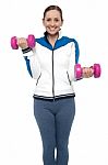 Active Woman Posing With Dumbbells Stock Photo