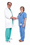 Aged Medical Persons Shaking Hands Stock Photo