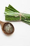 Aloe Vera Fresh Leaves With Aloe Vera Gel On Wooden Spoon Stock Photo