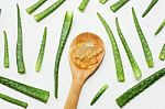 Aloe Vera  On White Background Stock Photo