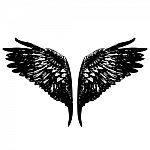 Angel Wings Stock Photo