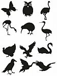 Animal Silhouette Stock Photo