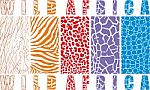 Animal Wildlife Color Abstract Background Stock Photo