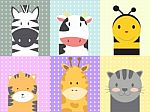 Animals Stock Photo