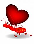 Ant And Heart Stock Photo