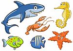 Aquatic Animals Stock Photo