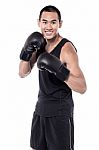 Are You Ready To Box With Me! Stock Photo