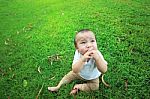 Asian Baby Stock Photo